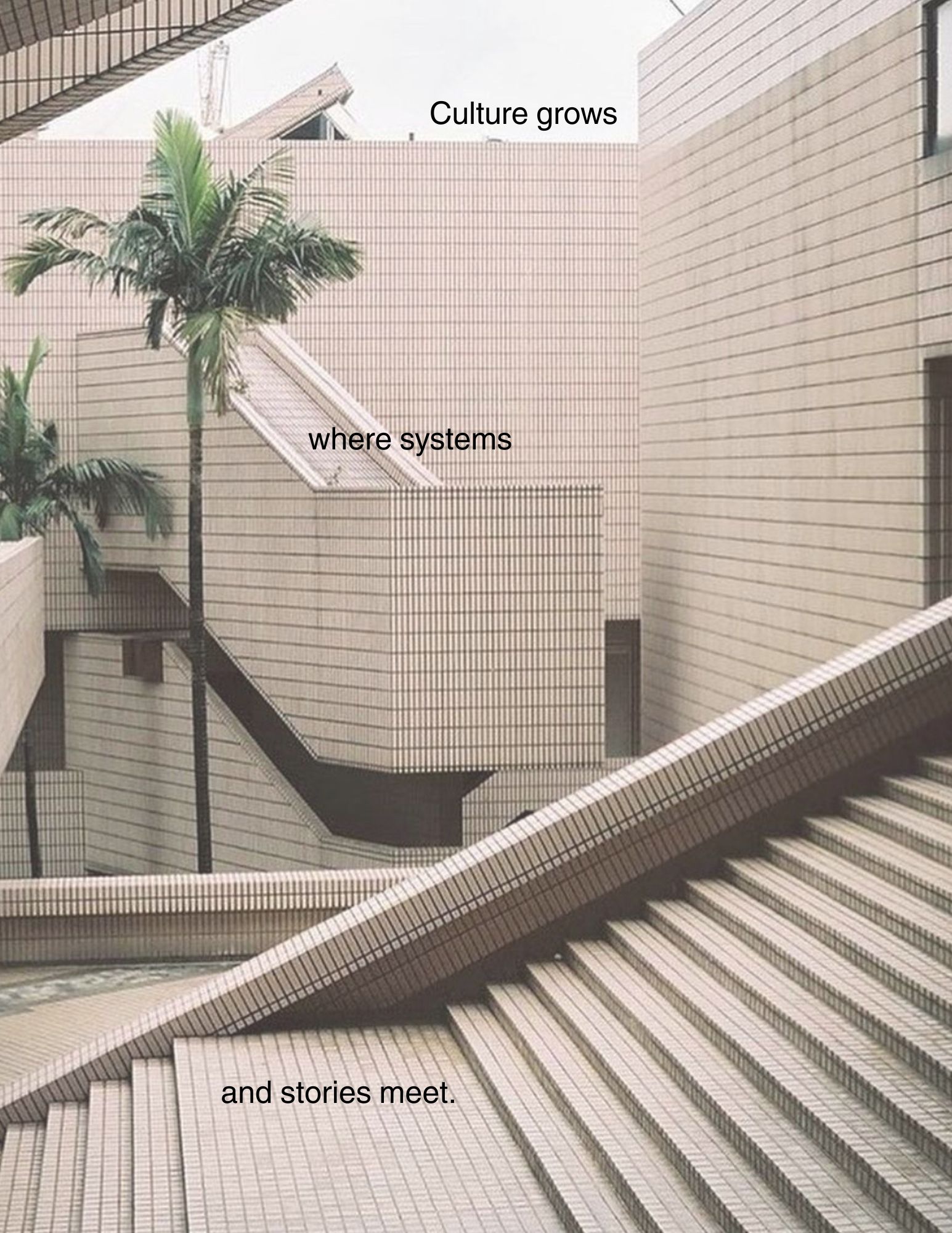 Tiled architecture and a palm tree, with the text: Culture grows where systems and stories meet.